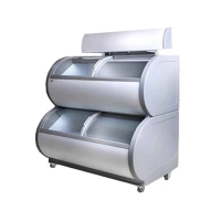 Ларь морозильный Cool Head TD 500
